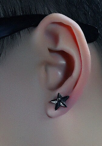 FIRETTI Ohrringe in Grau