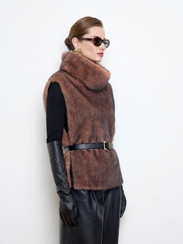 Gilet 'Faux-mink-fur brown dickey' di BASSIA in marrone