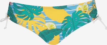 mėlyna VIVID Bikinio kelnaitės: priekis