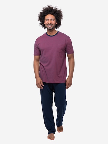 Ammann Pyjama kurz 'Night & Home Cotton' in Mischfarben