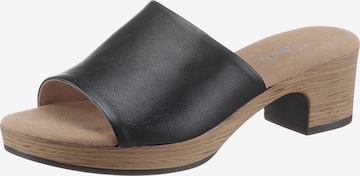 GABOR Mules in Black: front