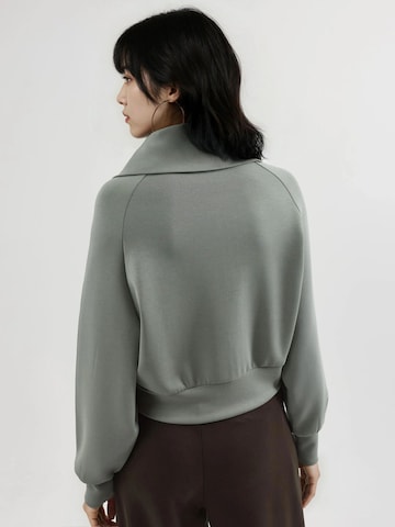 Busem Sweatshirts in Grün
