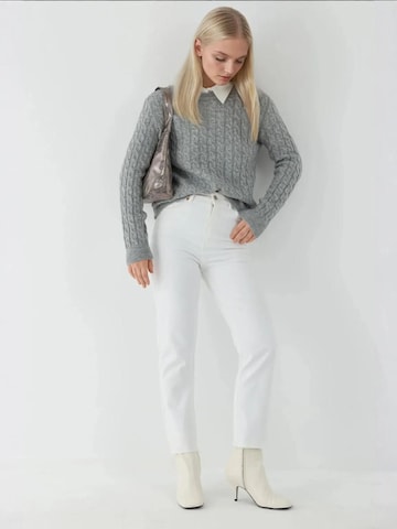 Pull-over 'Pullover' Hiccup en gris
