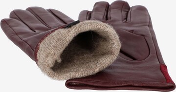 JOOP! Full Finger Gloves in Red