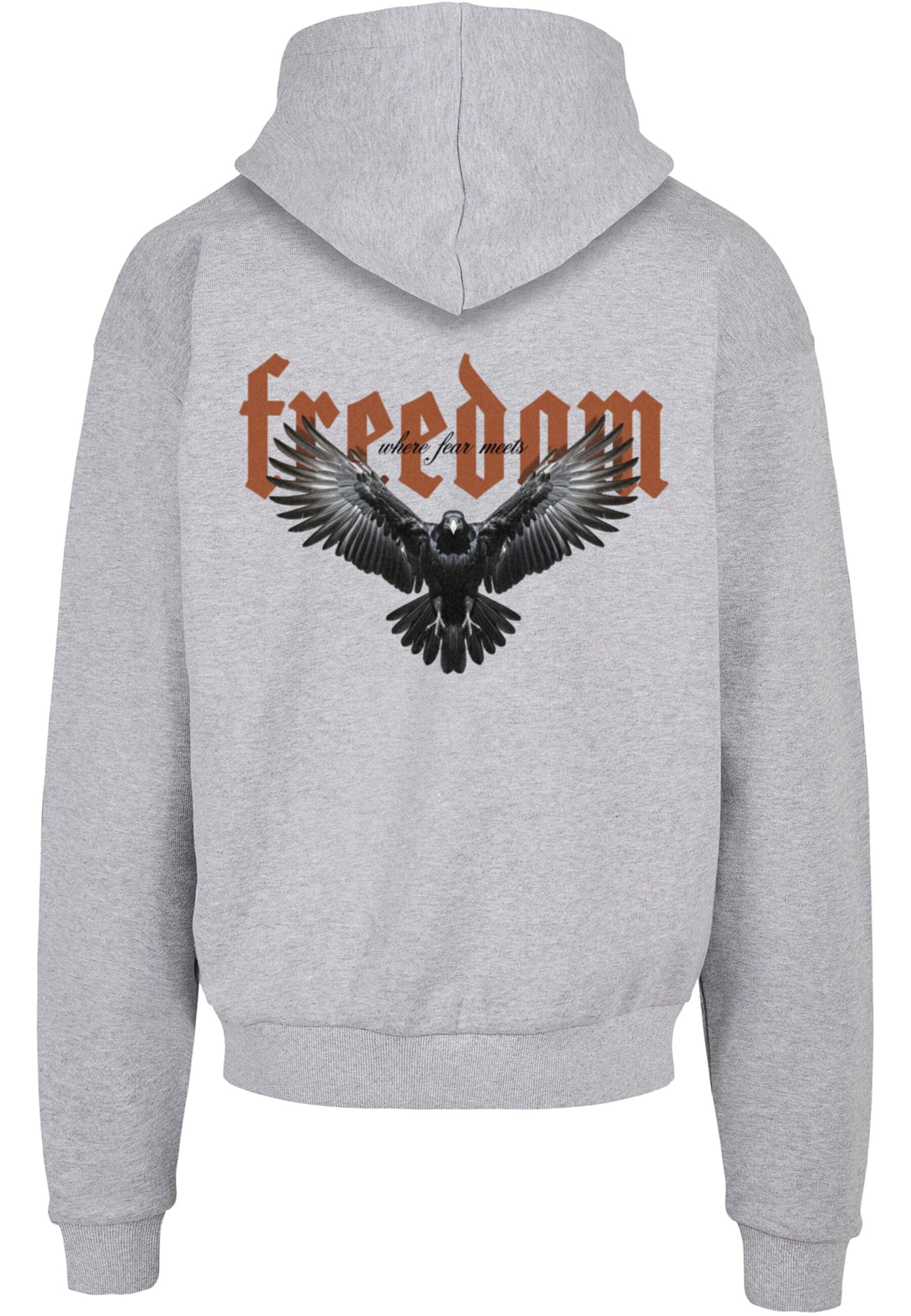 MJ Gonzales Sweatshirt 'Brave Soar' i grå