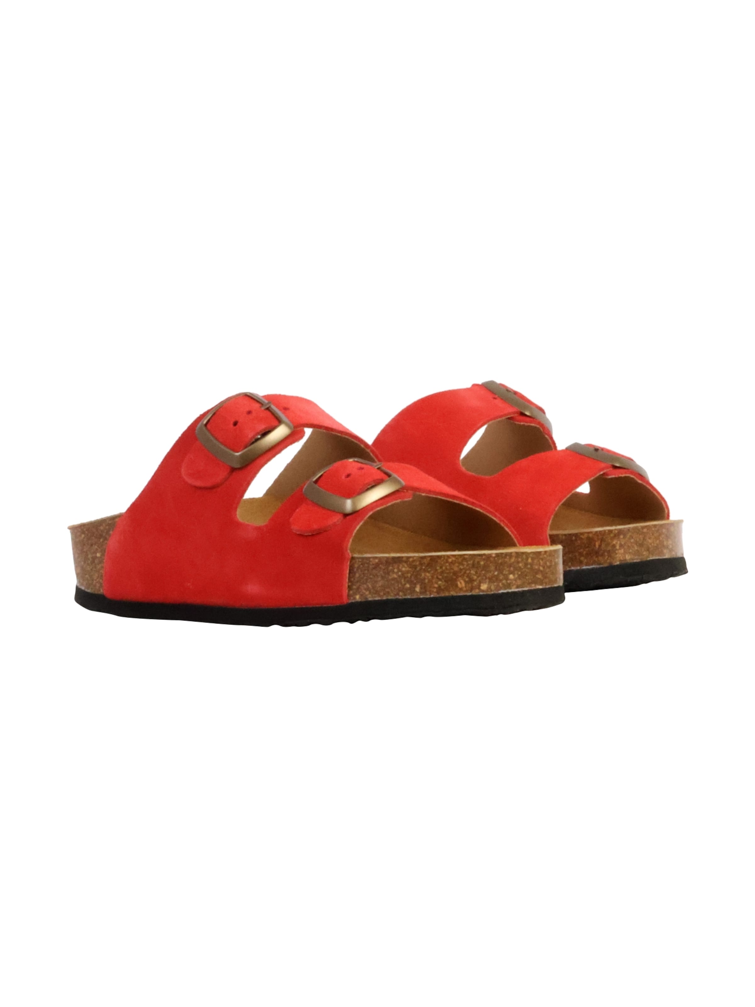 Plakton Muiltjes in Rood