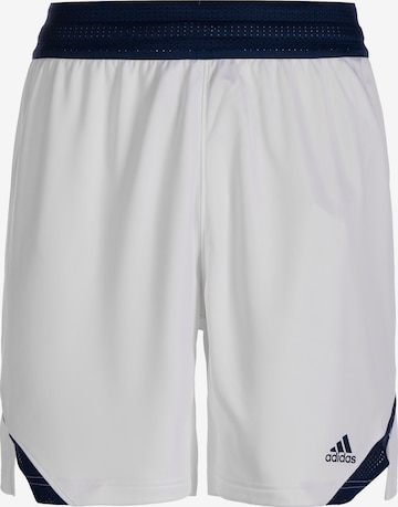 ADIDAS SPORTSWEAR Regular Sportshorts 'Icon Squad' in Grau: predná strana