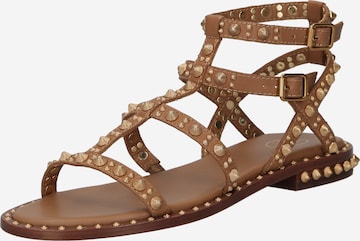 ASH Sandalen met riem 'PEPSY02' in Bruin: voorkant