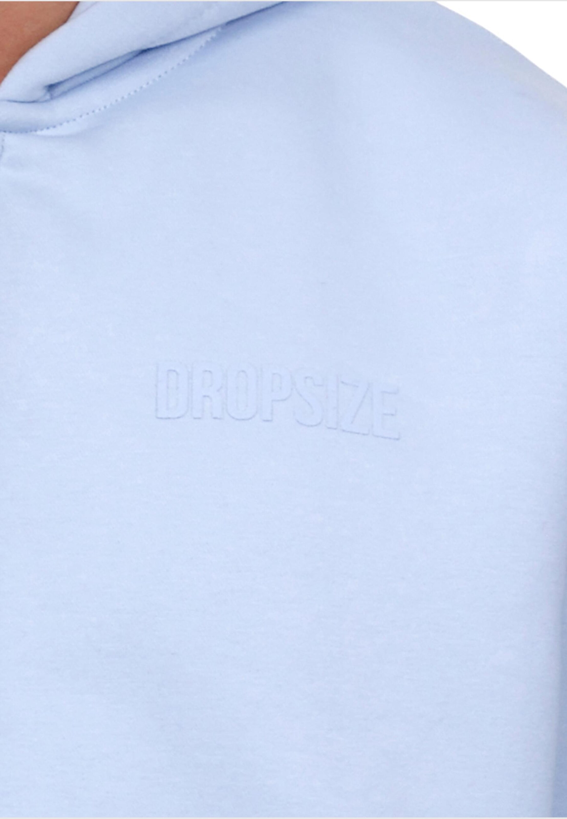 Dropsize Sweatjacke in Blau