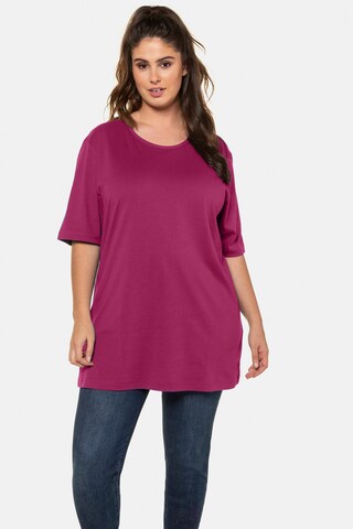 Ulla Popken Shirt in Lila: Vorderseite