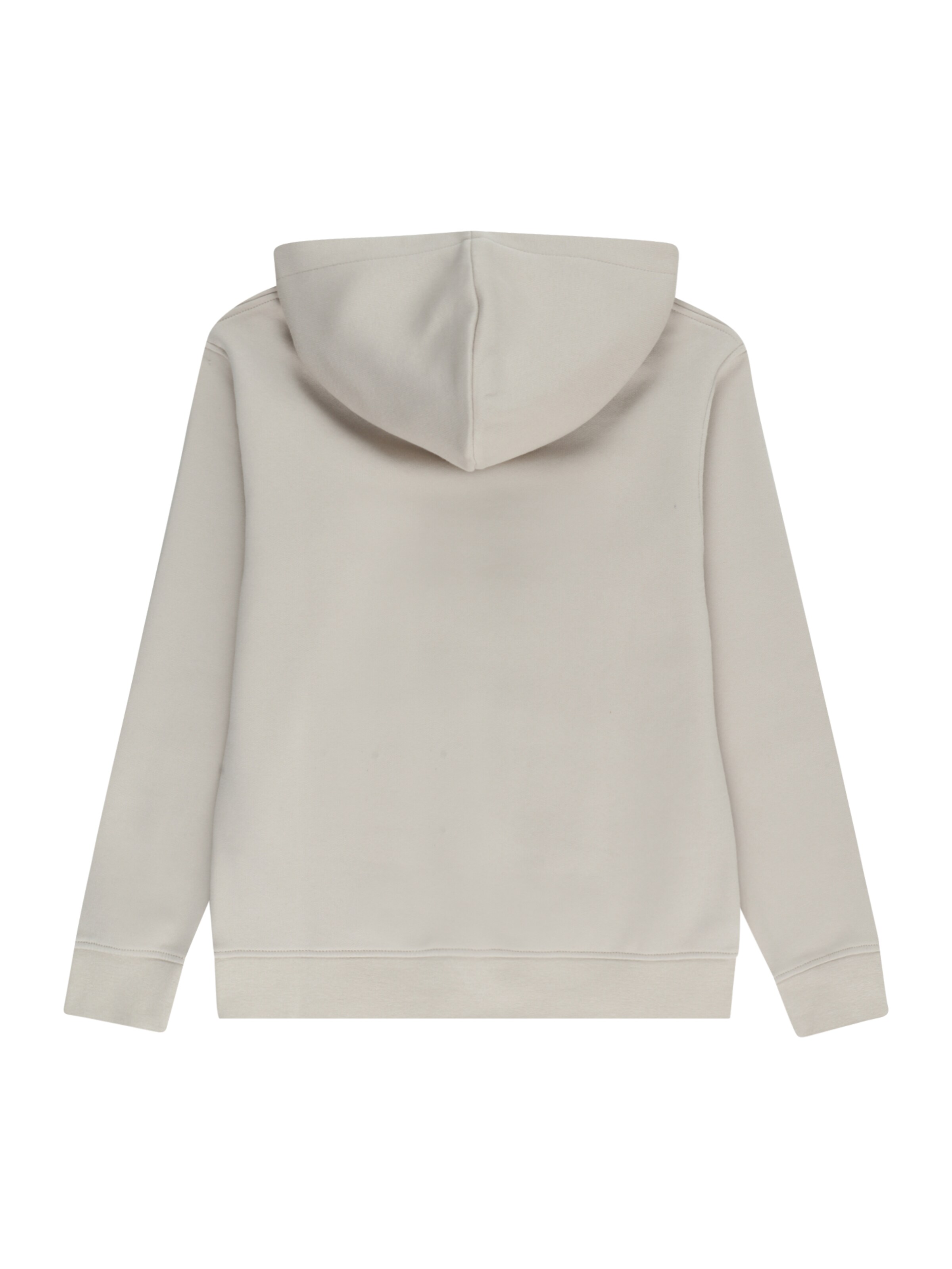 Jack & Jones Junior Sweatshirt 'JORVESTERBRO' i beige