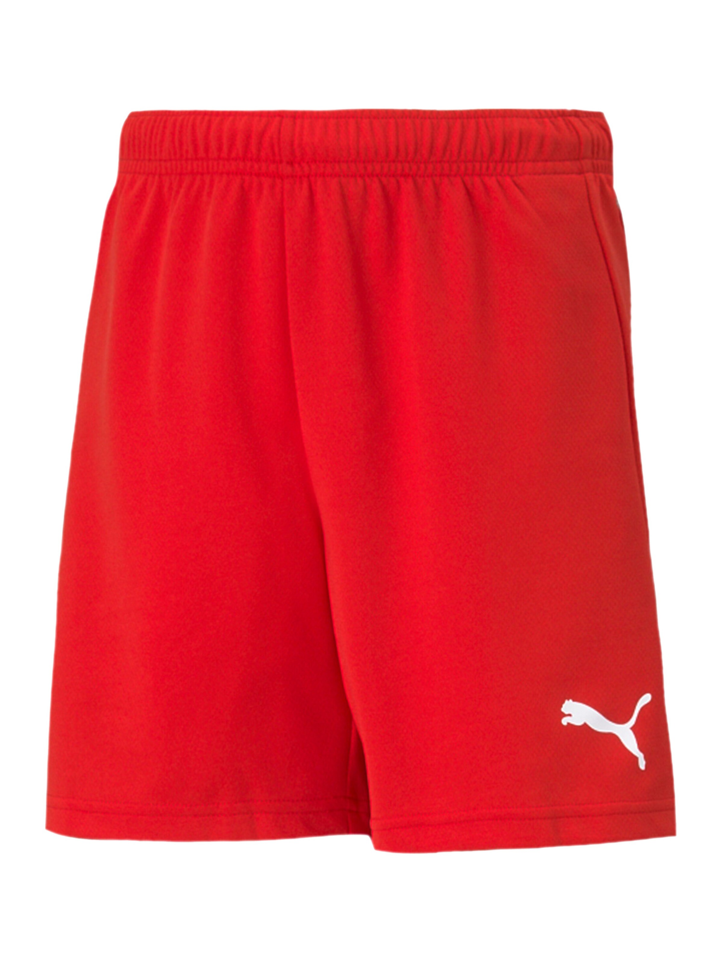 Regular Pantalon de sport 'TeamRise' PUMA en rouge