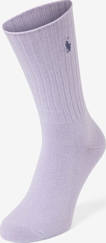 Polo Ralph Lauren Socks in Purple: front