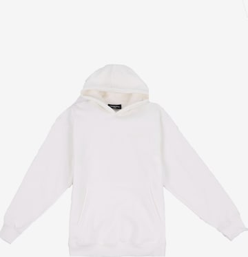 Dropsize Sweatshirt in Beige: Vorderseite