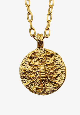 Haze&Glory Necklace 'Skorpion' in Gold