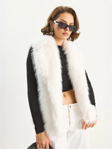 Bianco Lucci Bodywarmer in Beige