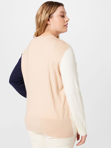 Dorothy Perkins Curve Sweater in Beige