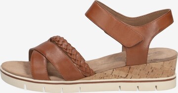 CAPRICE Strap Sandals 'Caprice' in Brown