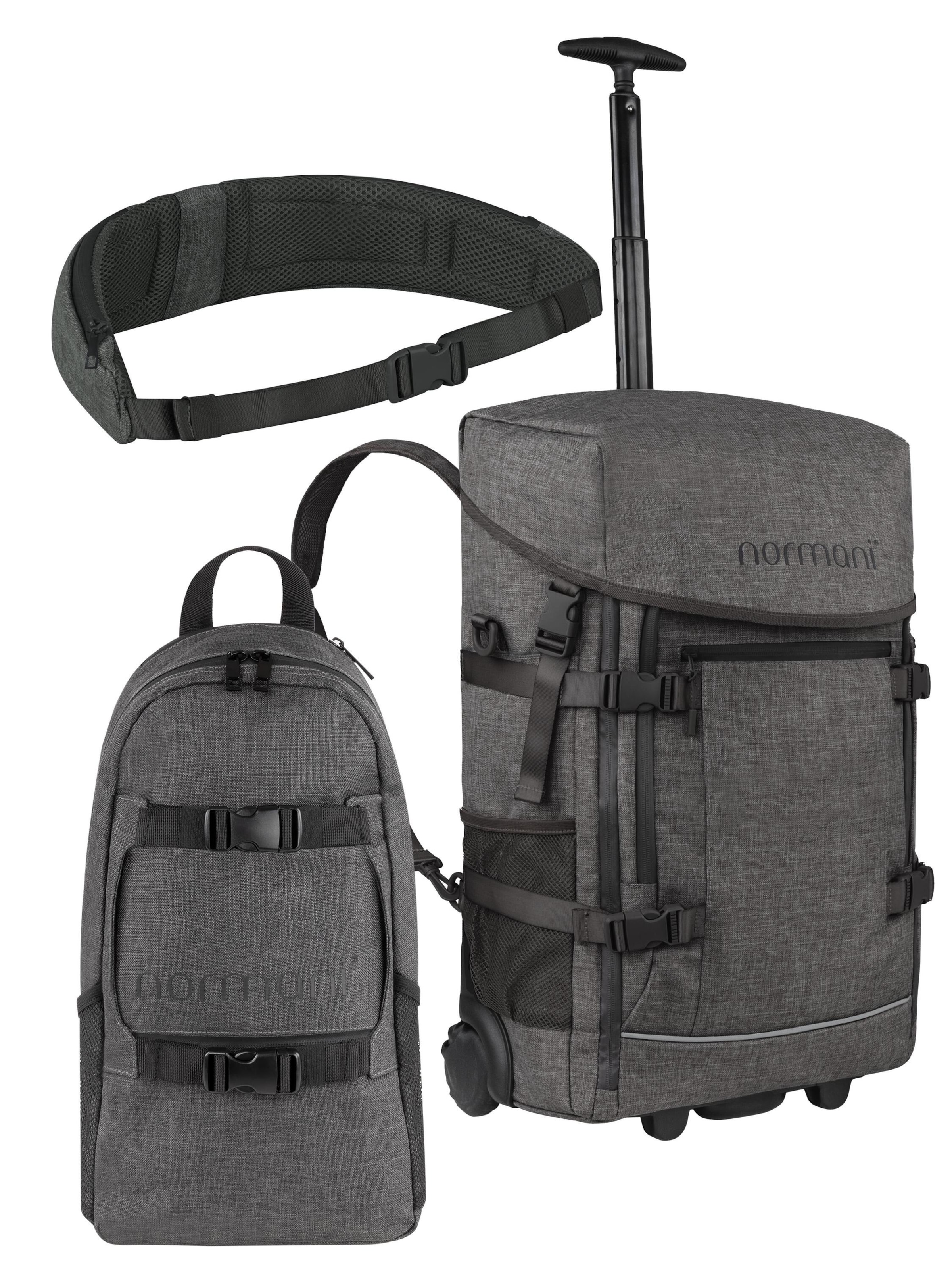 normani Suitcase set in Grey: front