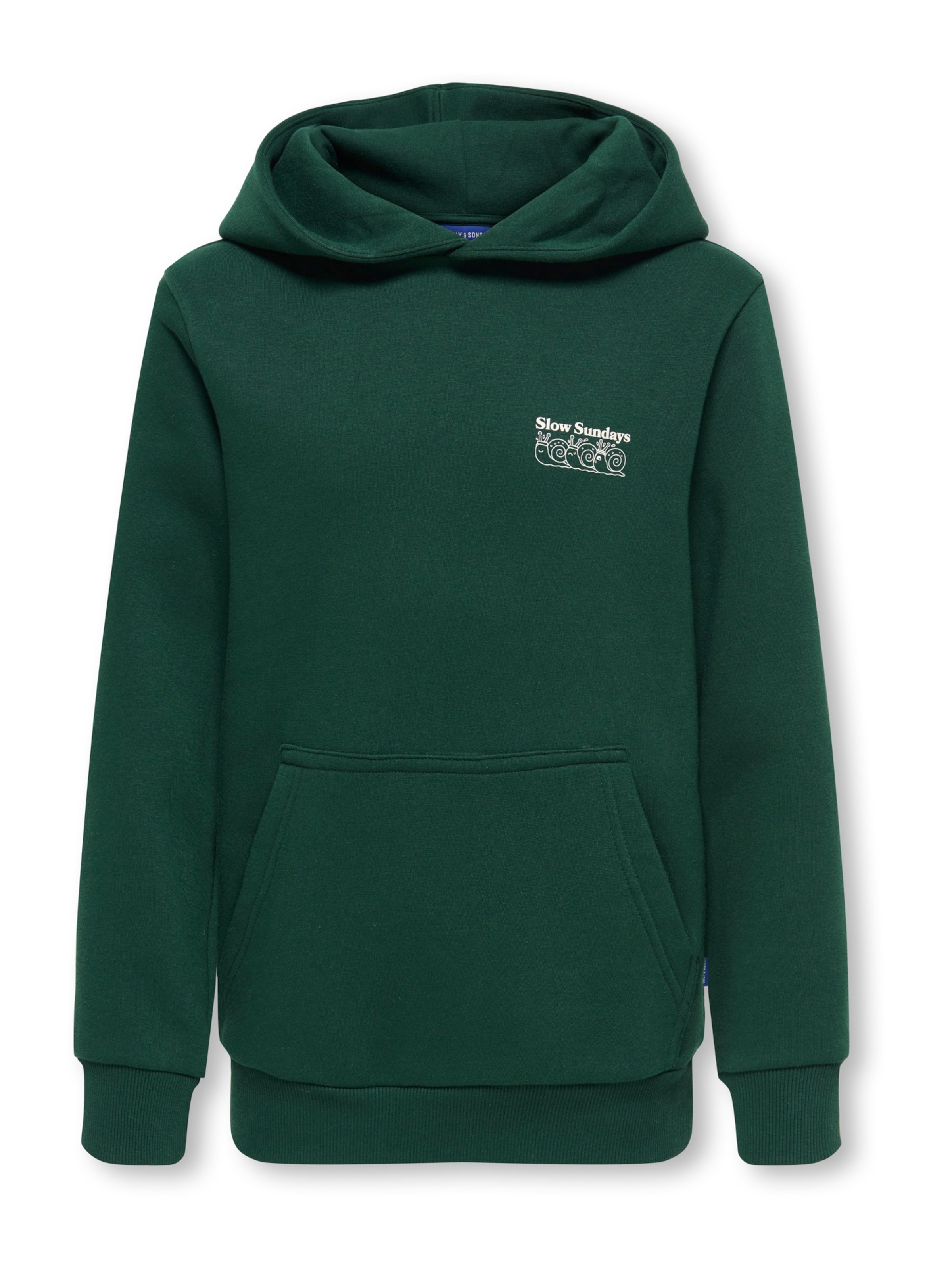 Only & Sons Junior Sweatshirt 'OSJCERES' in Groen: voorkant