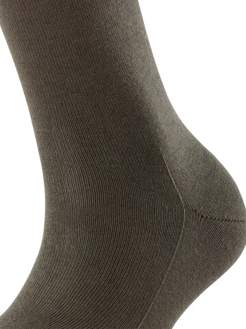FALKE Socks 'Family' in Green