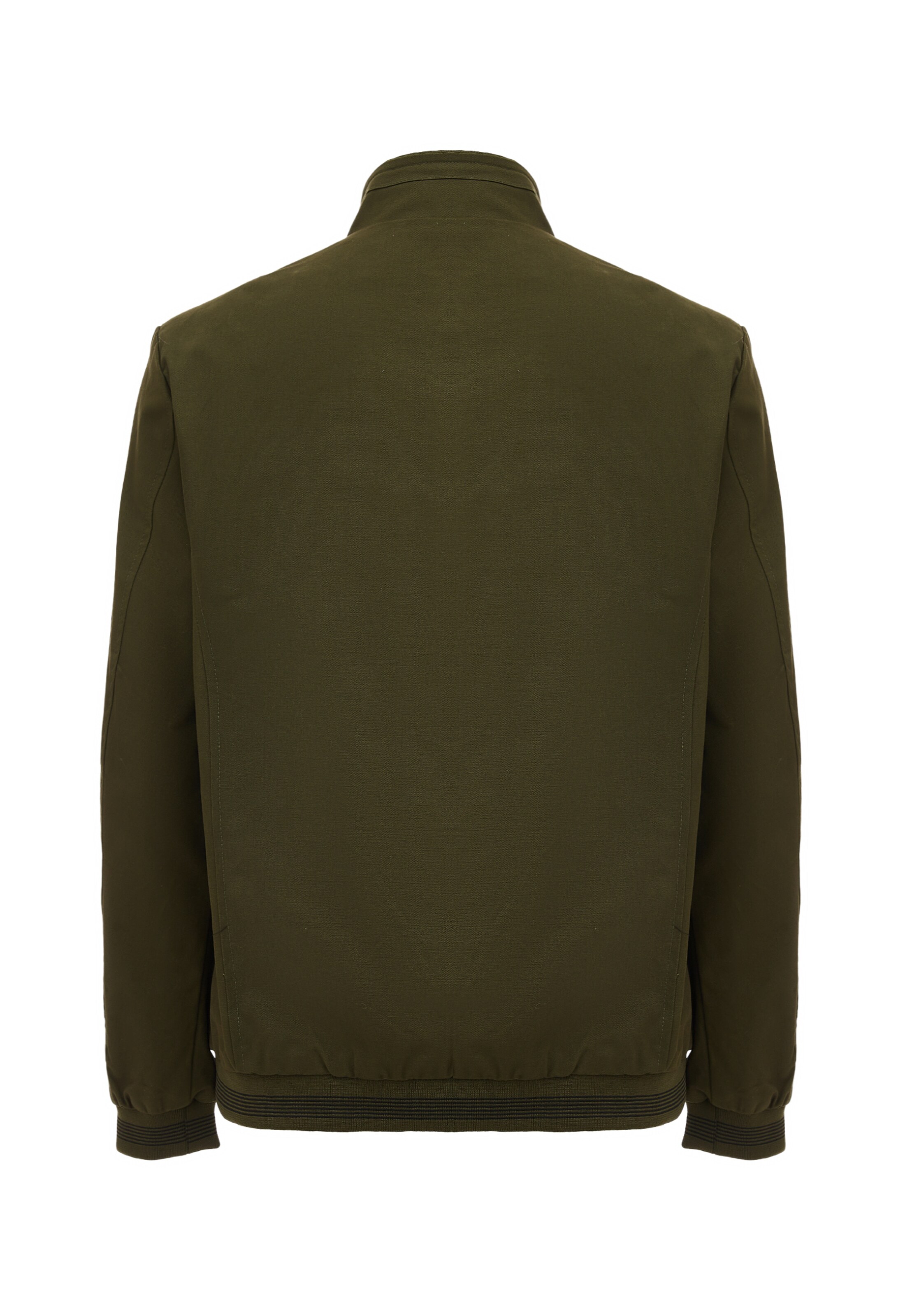 Sloan Демисезонная куртка в Зеленый