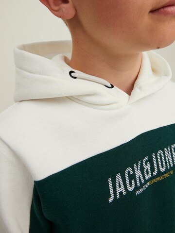 Jack & Jones Junior Sweatshirt 'Dan' in Grün