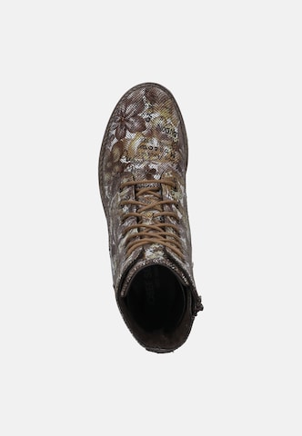 JOSEF SEIBEL Stiefelette 'Sienna 82' in Mischfarben