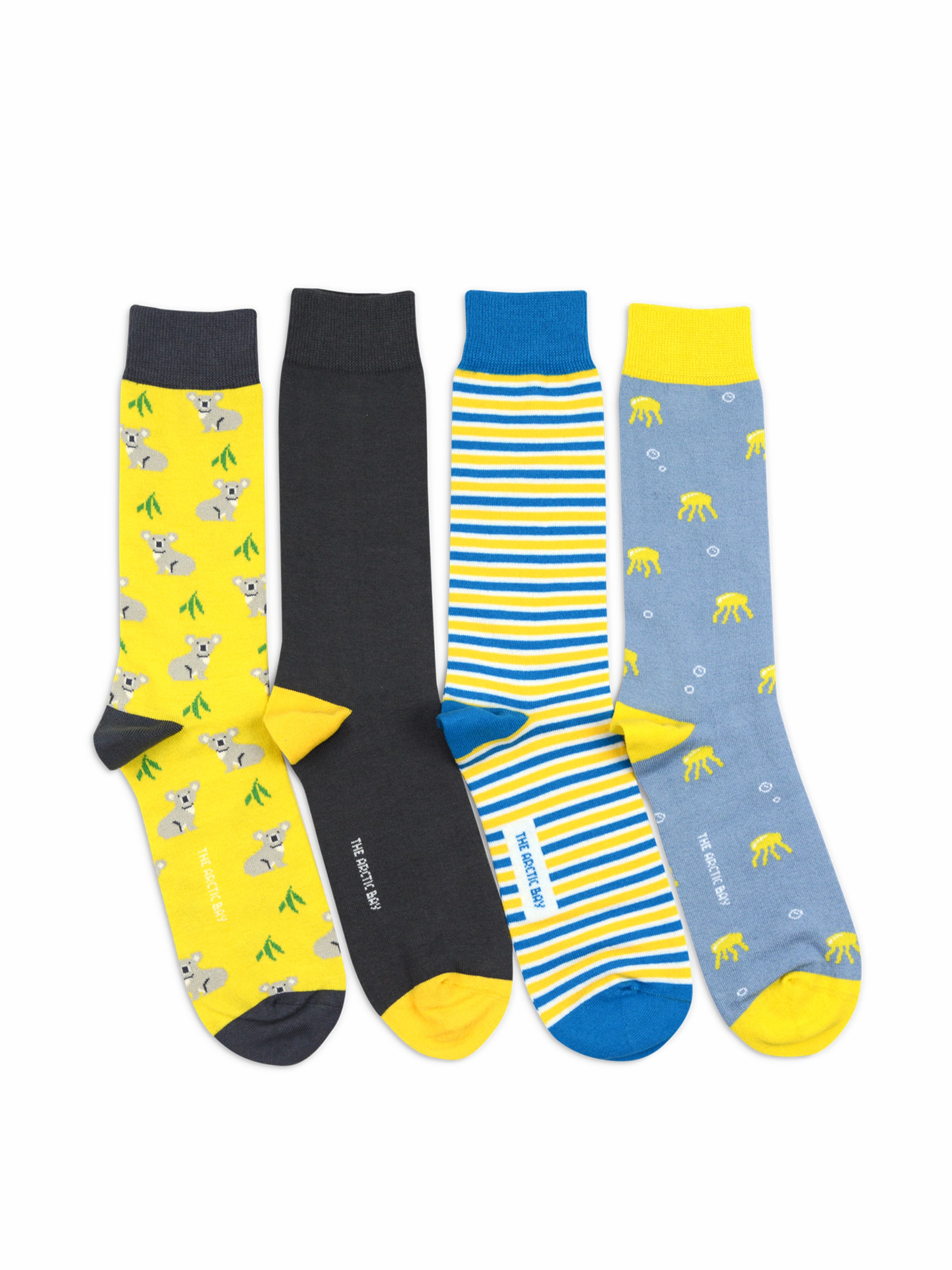 Chaussettes 'MANBARRA EDITION Gift box 4 Pack Unisex' The Arctic Bay en mélange de couleurs : devant