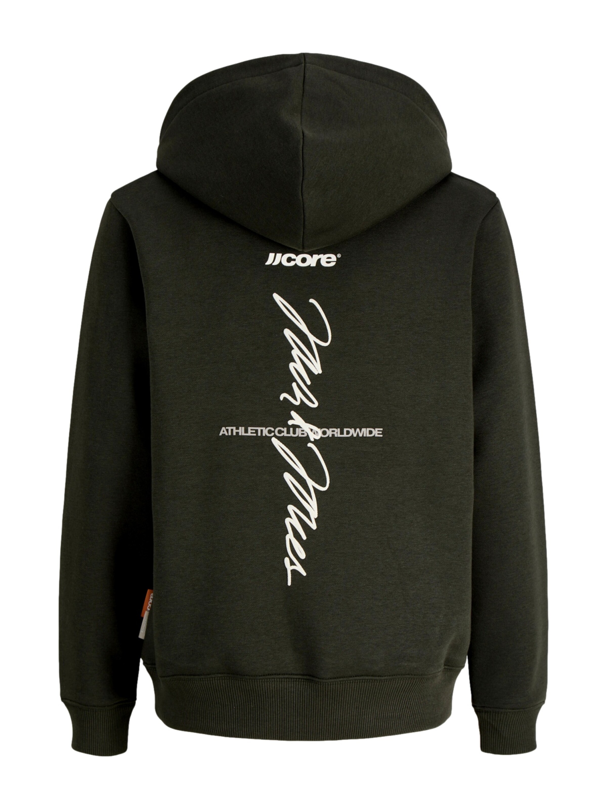 Jack & Jones Junior Sweatshirt 'JCOCLUB' in Green
