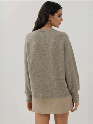 Pull-over 'Pullover' Hiccup en gris