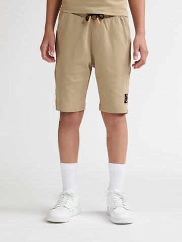 Petrol Industries Regular Trousers in Brown: front