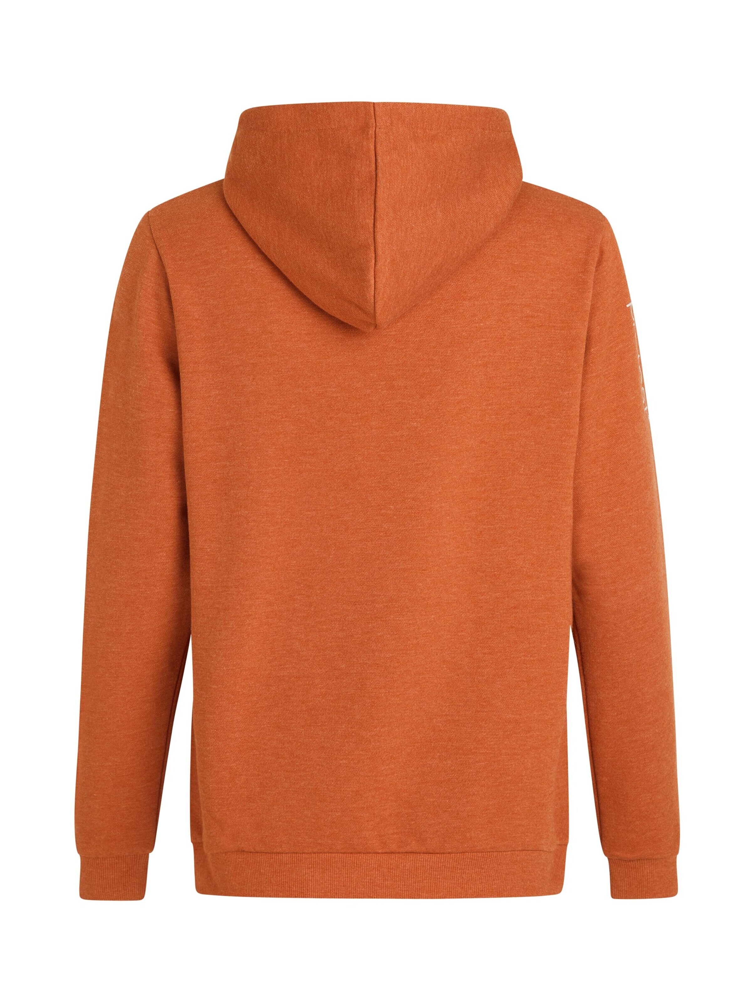 PROTEST Sweater 'CLASSIC LOGO HOODY' in Brown