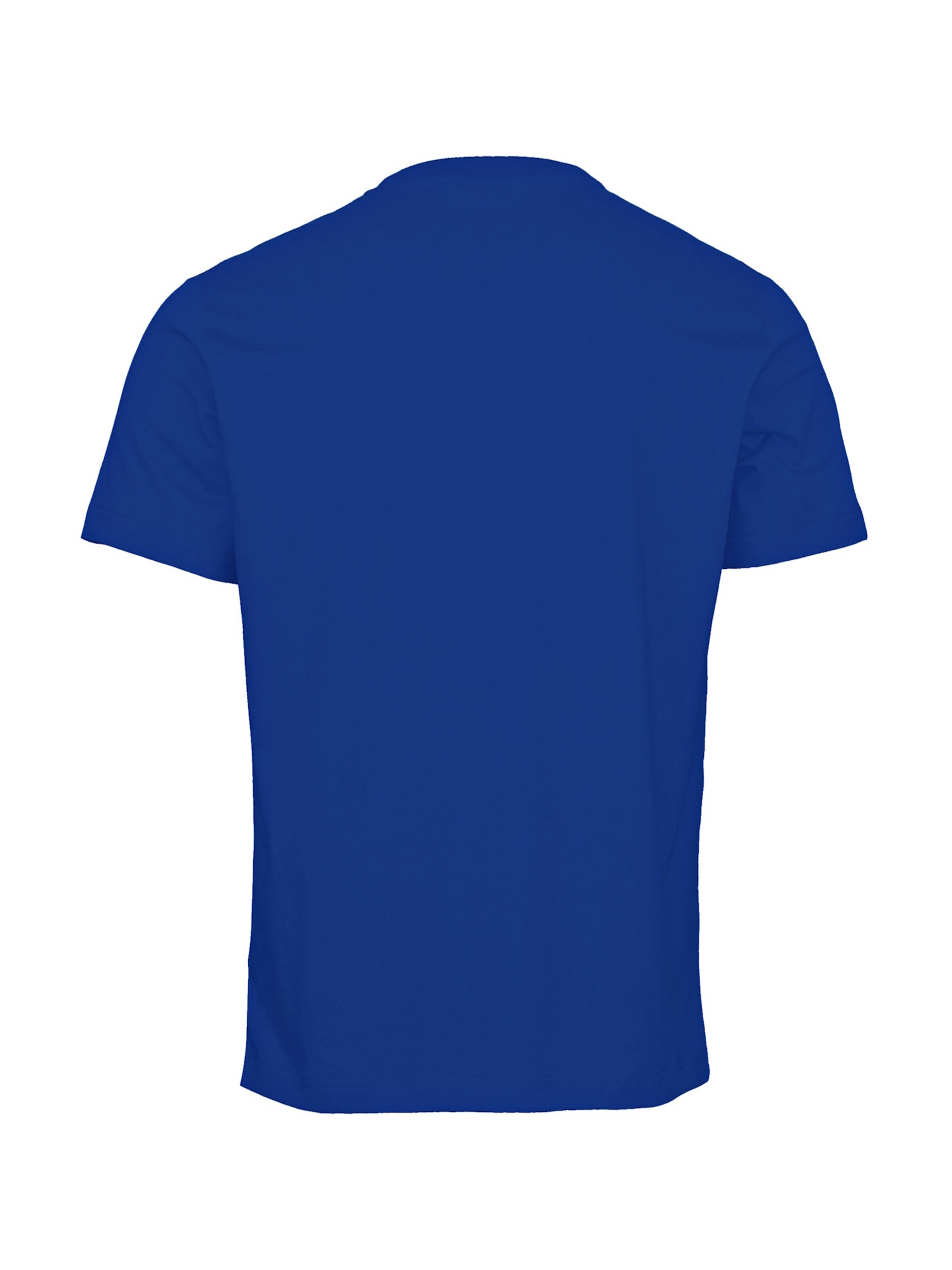 Champion Authentic Athletic Apparel Bluser & t-shirts i blå