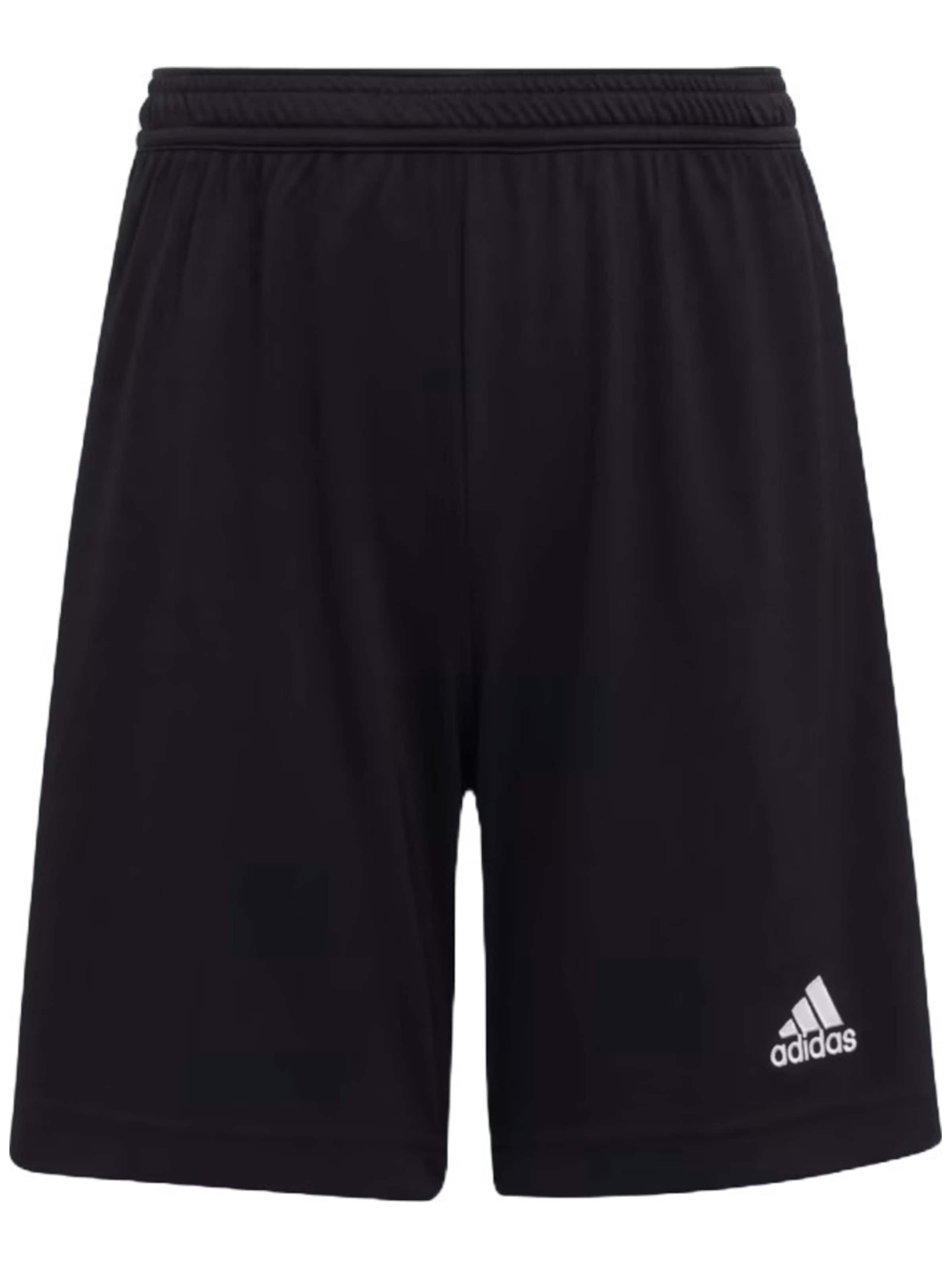ADIDAS - regular Pantalón deportivo 'adidas Jr Ent22 Short Black' en negro: frente