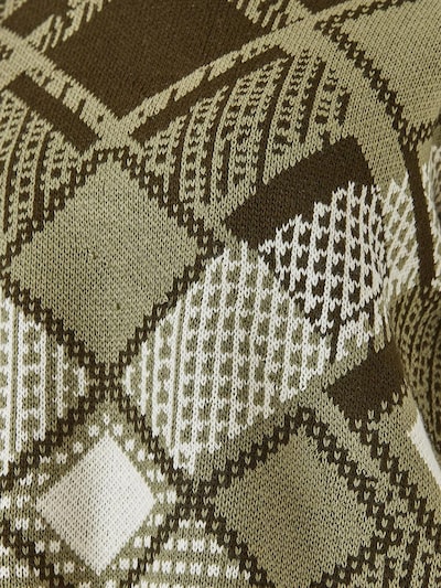 Bianco Lucci Pull-over en olive / vert foncé / blanc, Vue avec produit