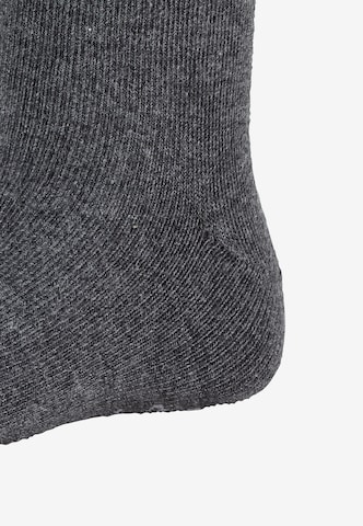 STERNTALER Socken in Grau