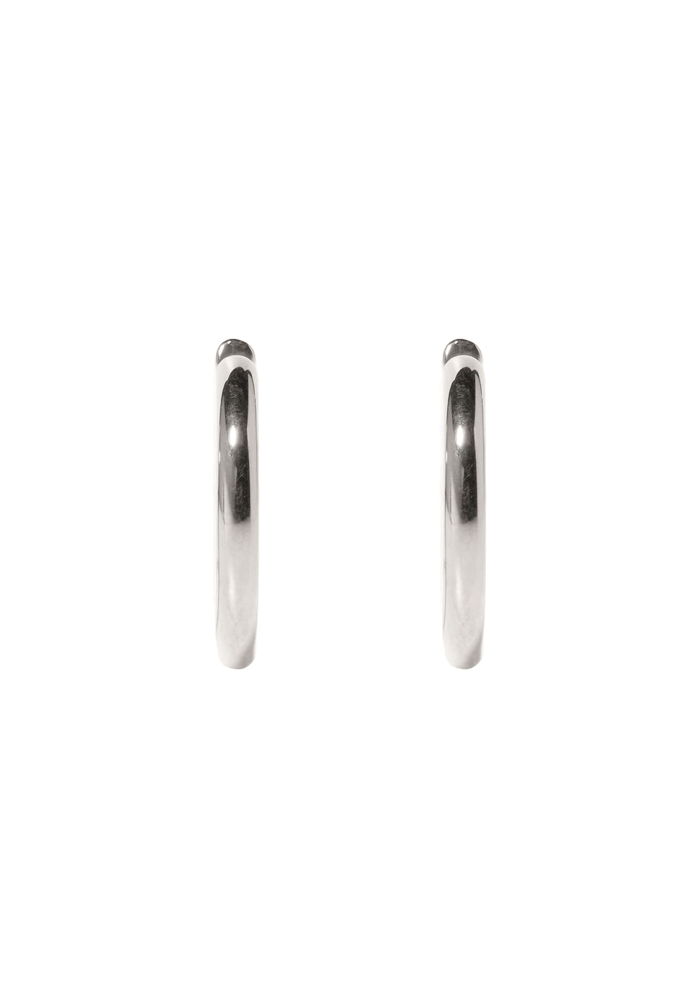 Stilnest Earrings in Silver