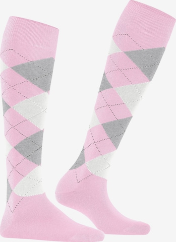 BURLINGTON Over the Knee Socks 'Queen' in Purple: front