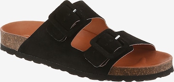 VERBENAS Mules in Black: front