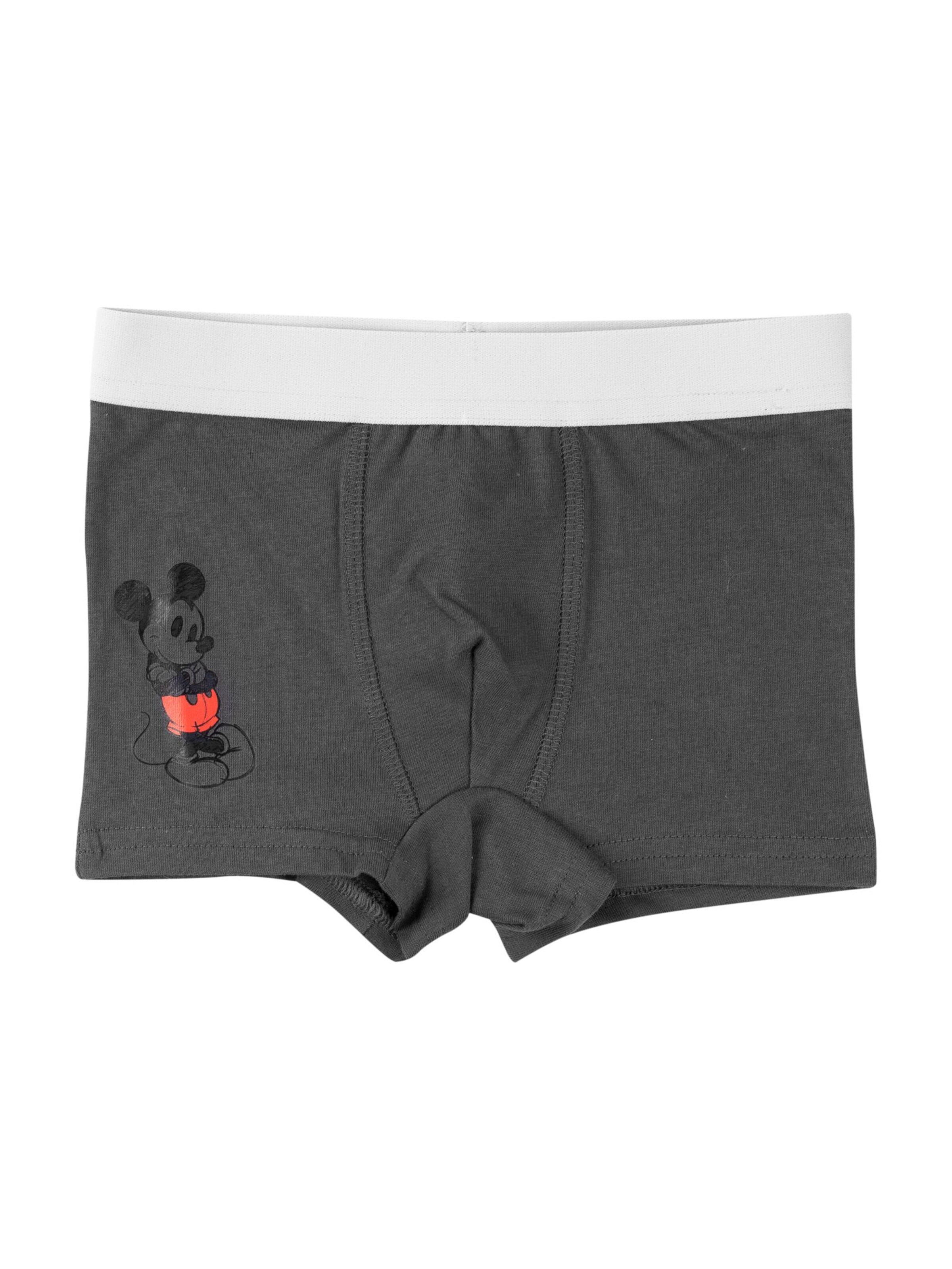 MICKEY MOUSE Underpants in Grey
