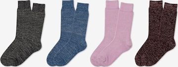 RAFRAY Socken in Grau: Vorderseite