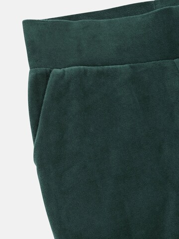 Cellbes of Sweden Regular Broek in Groen