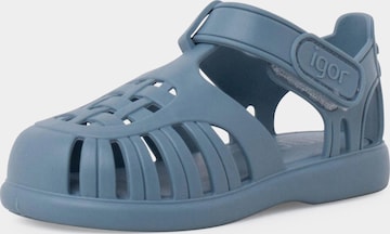Claquettes / Tongs IGOR en bleu : devant