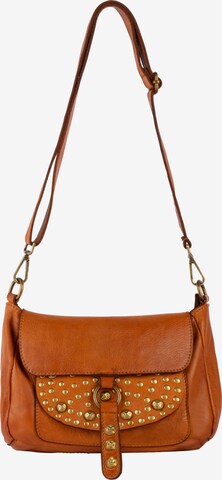 IZIA Crossbody Bag in Brown: front