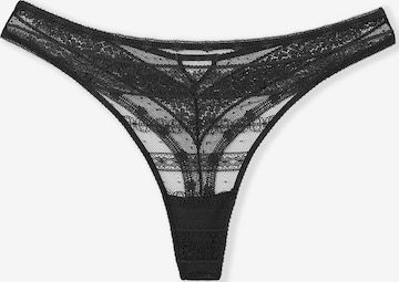 String ETAM en noir : devant