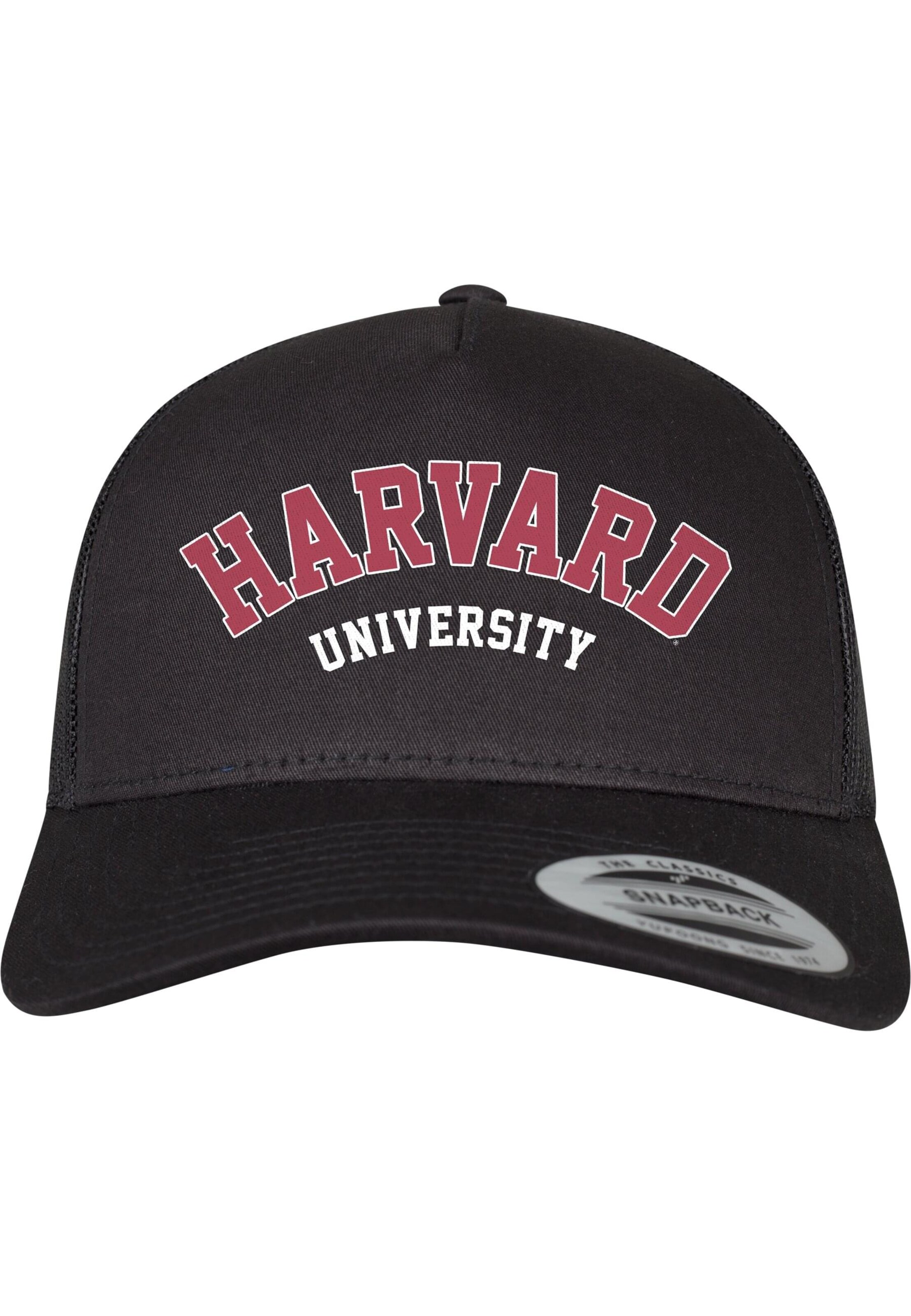 Merchcode Pet 'Harvard University' in Zwart