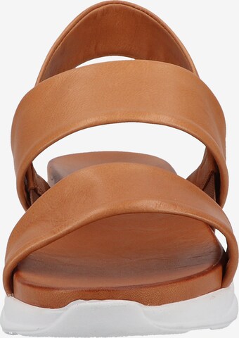 ILC Strap Sandals in Brown