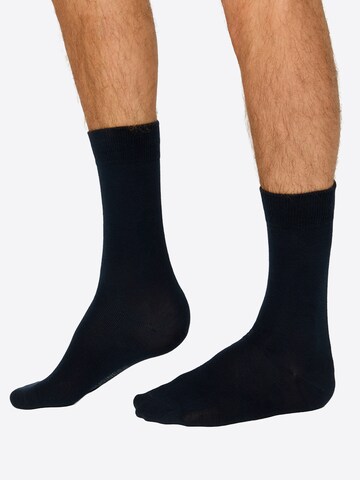 Nur Die Basicsocken ' Baumwolle Business Pack ' in Blau
