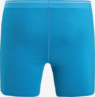 Pantaloncini intimi sportivi di ICEBREAKER in blu